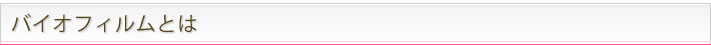 バイオフィルムとは